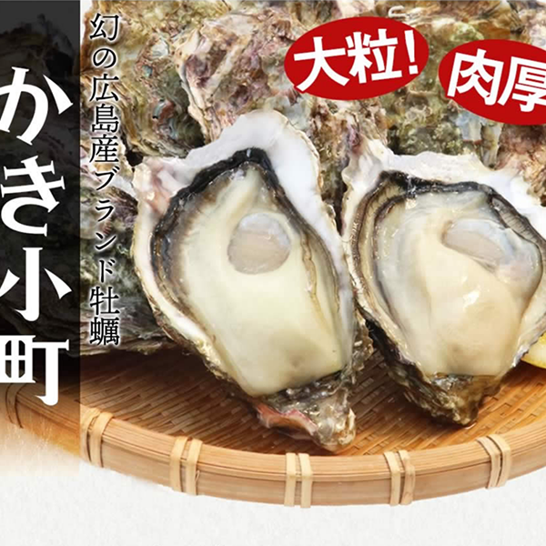 豊かな広島湾が育んだブランド牡蠣　かき小町(殻付き)